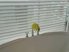 -青岛银沙滩温德姆至尊酒店