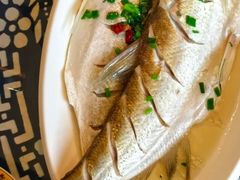 -太湖好灶头土菜馆(石公路店)