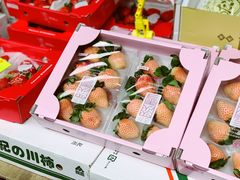 -油麻地果栏