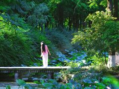 -成都南湖公园
