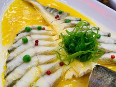 鸡汁黄鱼-必点海鲜·鲅鱼水饺(鞍山西道店)