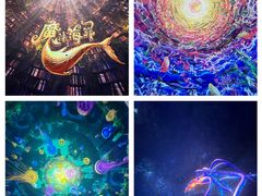 -海合安武汉极地海洋公园