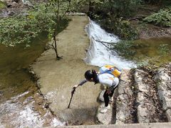 -牛背梁国家森林公园