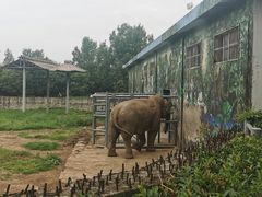 -西安秦岭野生动物园
