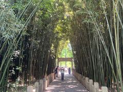 -采石矶景区