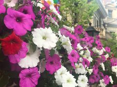 -南山鲜虾面·活鲜小馆·海味大连菜(南山总店)