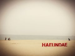 -海云台海滩