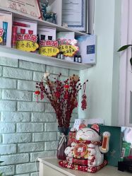 -博士园养发馆
