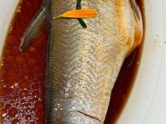 -醉庐·新上海菜(南京西路店)
