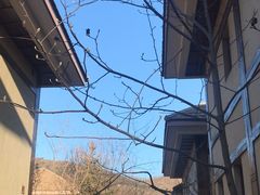 -金石唐风国际温泉会馆