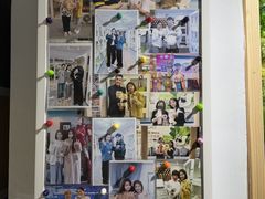 -青奢宠物·青奢猫舍