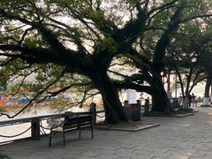 -江心屿景区
