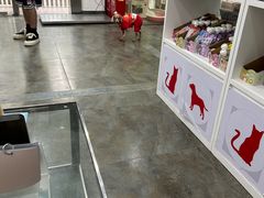 -暖阳宠物医院·犬猫康复中心·骨科