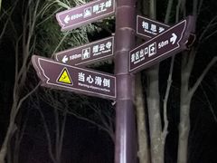 -缙云山景区