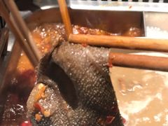 -巴奴毛肚火锅(商城路店)