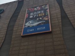 -盒马鲜生(大成店)
