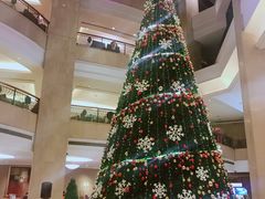 -成都天府丽都喜来登饭店