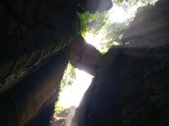 -梦幻奥陶纪景区