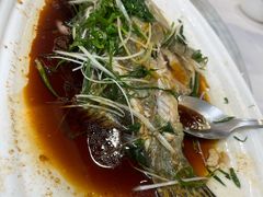 桂花鱼-朱仔记食府(江南大道店)