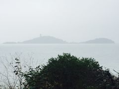 -上海市保健医疗中心(华东疗养院)