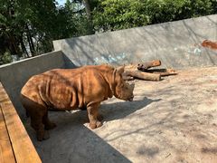 -昆明动物园
