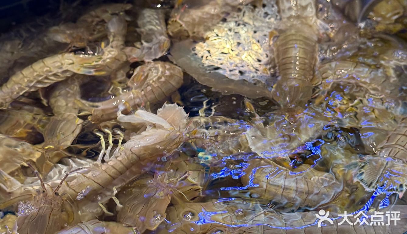 [礼花]凤霞海鲜楼·美食之旅开启🚢吃海鲜咯～