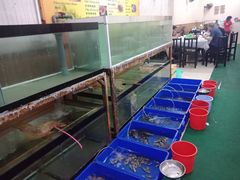 -QQ海鲜餐厅
