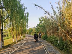 -白鹭湾湿地公园