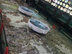 -渔傅·蓝海岸霞浦海鲜(正祥店)