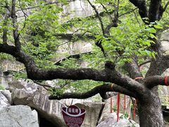 -洛阳白云山景区