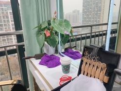 -5M+私人定制