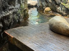 -大阪海游馆