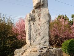 -云岗森林公园