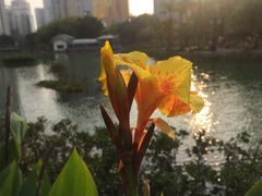 -江头公园