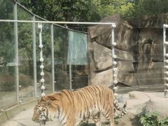 -荆州中山公园动物园