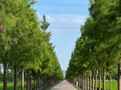 -蓝精灵乐园·世茂精灵之城主题乐园