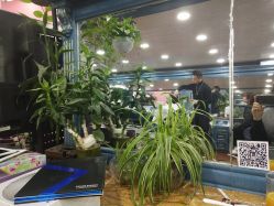 -Hair Glam 格拉姆造型旗舰店