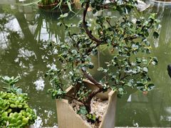 -酒蜻蜓·庭院私房菜(天元东路店)
