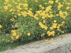 -府河摄影公园