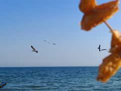-泊石湾海滨浴场