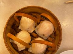 -金鼎轩(方庄天坛店)
