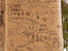-渡船头海之冰