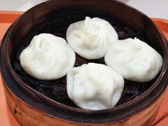-老西白点心店
