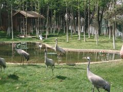 -艾溪湖湿地公园