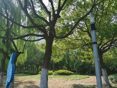 -天鹅湖体育公园