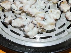 鸭嘴鱼-渔乐里(智荟城店)