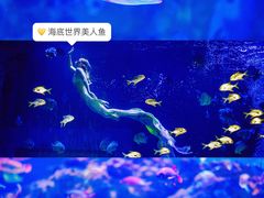 -正佳雨林生态植物园