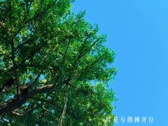 -咸阳湖景区