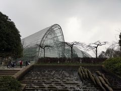 -南山植物园