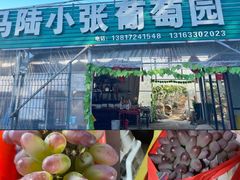 -马陆小张葡萄园农家乐